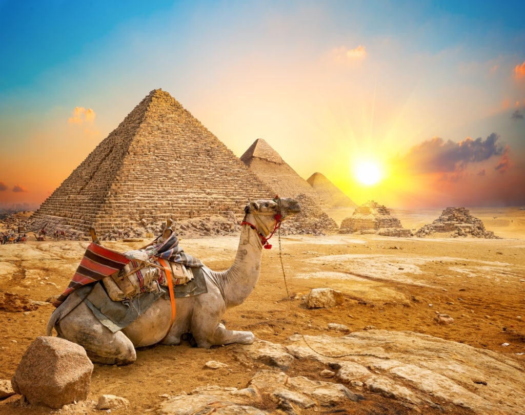 Day Tour to Cairo and Pyramids from Port Said